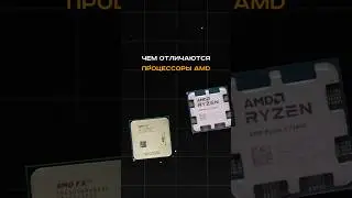 Чем отличаются процессоры AMD? Как выбрать правильный? 