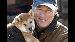 СТАРЫЙ ДРУГ. ХАТИКО. HACHI - A DOG' S TALE