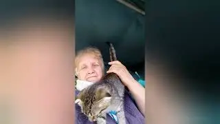 Дела огородные. Сильный ветер наломал веток. С котом