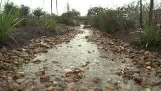 Low Impact Development impacts flooding in the Houston area