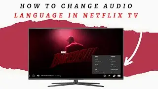 how to change audio language in netflix tv