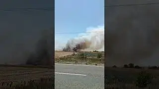 Пожары в Ейском районе около Глафировки #ейск