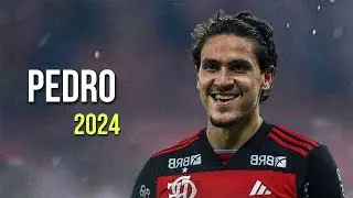 Pedro Flamengo ► Crazy Skills & Gols 2024 | HD