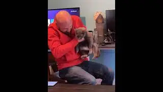 Cat owners have no personal space #cat #funnyvideos #funnymoments #haha #funny #pet #foryou