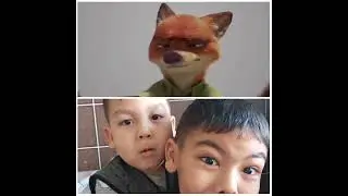 бауыр керек