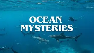 Top 10 Deep Ocean Mysteries That Scientists Can't Explain