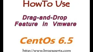 How to Enable VMware Drag-and-Drop Feature