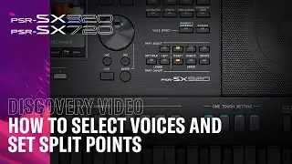 How To Select Voices and Set Split Points