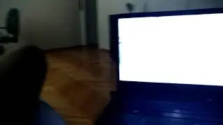 Программа для кошек на Youtube! Это работает !!!