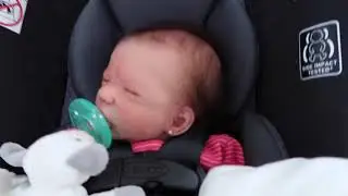 Day In The Life With Super Realistic Silicone Baby - Shopping At Walmart - nlovewithreborns2011