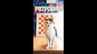 🙄 мат в 1 ход /он же  РЕТРОПАТ что это? 