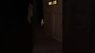 КОГО МОЖНО НЕОЖИДАННО НАЙТИ ЗА ДВЕРЬЮ 