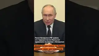Двойник Путина заявил, что Украина готовила «окно» для террористов из «Крокус»