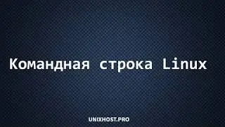 Командная строка Linux | Уроки Linux | UnixHost