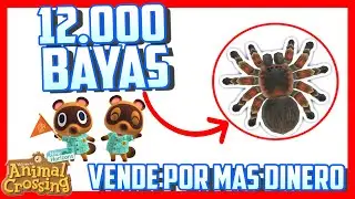 Secretos y Trucos de Animal Crossing New Horizons #16 - Como Conseguir mas BAYAS vendiendo INSECTOS