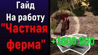 ТОП РАБОТА ДЛЯ НОВИЧКОВ. Мини гайд на частную ферму. Arizona Samp RP