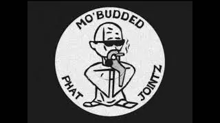 Izm* & M.O.L.D. - Mo' Budded Representation [1996]