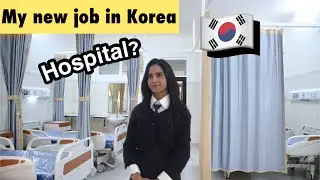 🇰🇷I got a NEW JOB in Korea😍