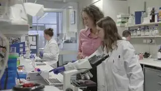 Birth Defects & Miscarriages Scientific Breakthrough | Victor Chang Cardiac Research Institute