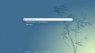 Install OpenMandriva Lx 2014 in UEFI Mode (Dual Boot Windows 8)