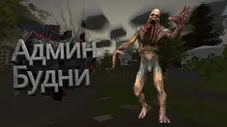 Админ будни | STRONG STALKER RP