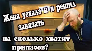 ОДИН В ДЕРЕВНЕ, ВСЕ УЕХАЛИ И МЕНЯ КОРМИТ ГУРИН. ПРИДУМАЛ СПОСОБ МОНТАЖА ЛИСТОВ В ОДНИ РУКИ