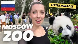 FIRST TIME IN MOSCOW ZOO! MEET RUSSIAN PANDA KATYUSHA 🇷🇺 🐼