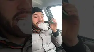 ГОСТ с aegis nano 2