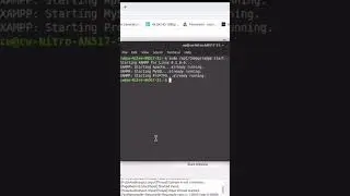 How to start XAMPP on Linux Mint’s Terminal