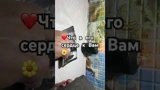 22 августа 2024 г.