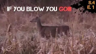Episode 1: Early October Bowhunting | Doe Management