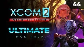 Ассассин или Отсоссин нас ждет сегодня?   |  XCOM 2 LWOTC Ultimate. Полное прохождение - 44