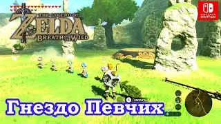 Гнездо Певчих. Святилище Ву Лота. Voo Lota Shrine. Recital At Warbler's Nest. The Legend of Zelda.