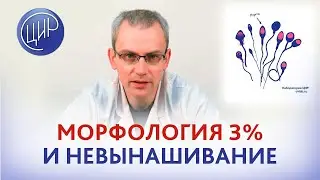 Морфология сперматозоидов 3% и невынашивание беременности на ранних сроках. Чем поднять морфологию?