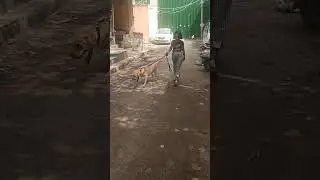 #shorts