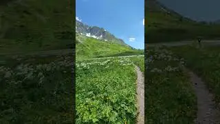прогулка по долине🏞️ в конце🐝