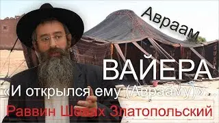 Раввин Шевах Златопольский. ВАЙЕРА 