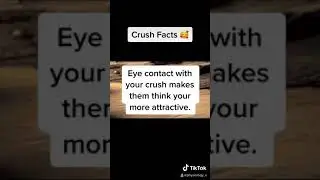 TikTok Crush Facts
