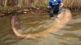 Fishing