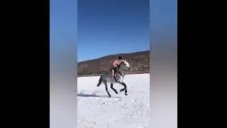 Новогодняя сказка В Гостях у Феди!