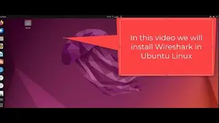 HOW TO INSTALL WIRESHARK IN UBUNTU TERMINAL Step by Step