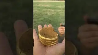 Такое находят раз в жизни находка стоимостью в... 
