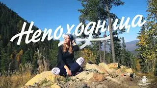 Тебя здесь НЕТ! Непоходница (Fan Video)