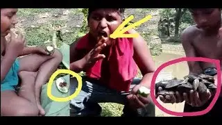 amazing technology small boys catching mussel and cooking eating delicious  Amazing Nature