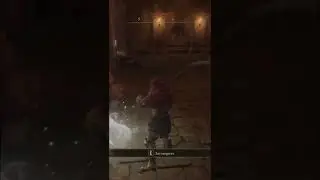 ВИНОГДАР ШАБРИРИ ☠ Elden Ring