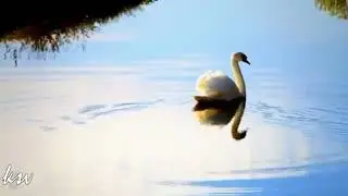 Музыкальное путешествие 