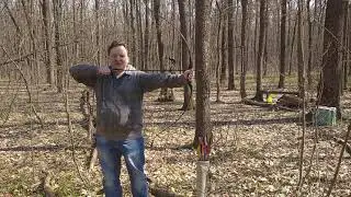 Стрельба из лука щипковым хватом