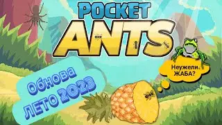 Pocket Ants l Летнее обновление 2023 | Новое существо | Неужели ЖАБА?