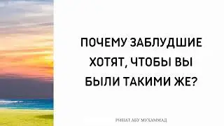 1360. Почему заблудшие хотят, чтобы вы были такими же? || Ринат Абу Мухаммад