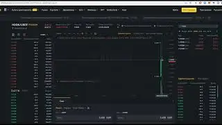 Подводим итоги Launchpad a на бирже Binance, компания Hooked, сколько получилось заработать?